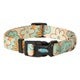 Snap and Go Dog Collar