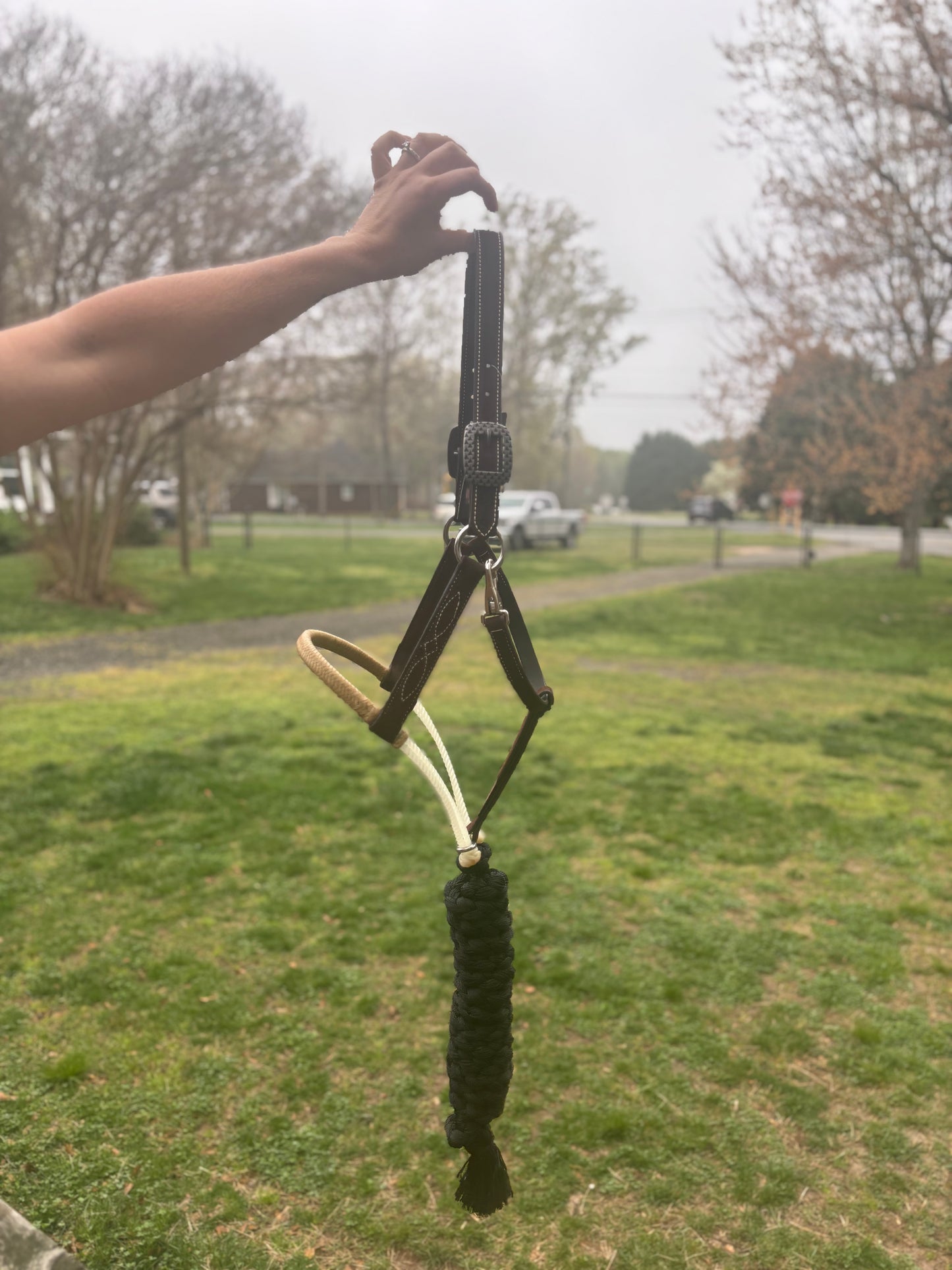 LEATHER HALTER DOUBLE RAWHIDE CROWN WITH LEAD