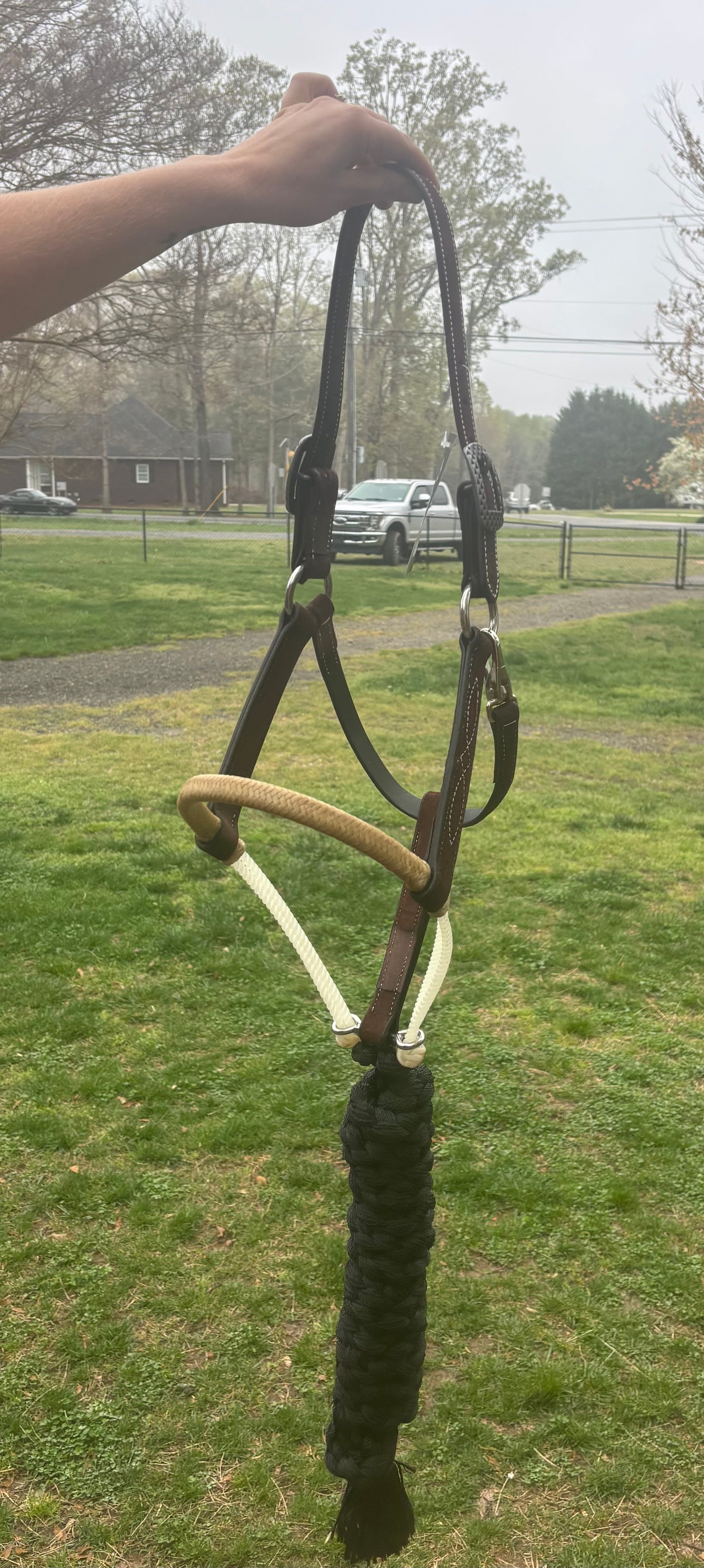 LEATHER HALTER DOUBLE RAWHIDE CROWN WITH LEAD