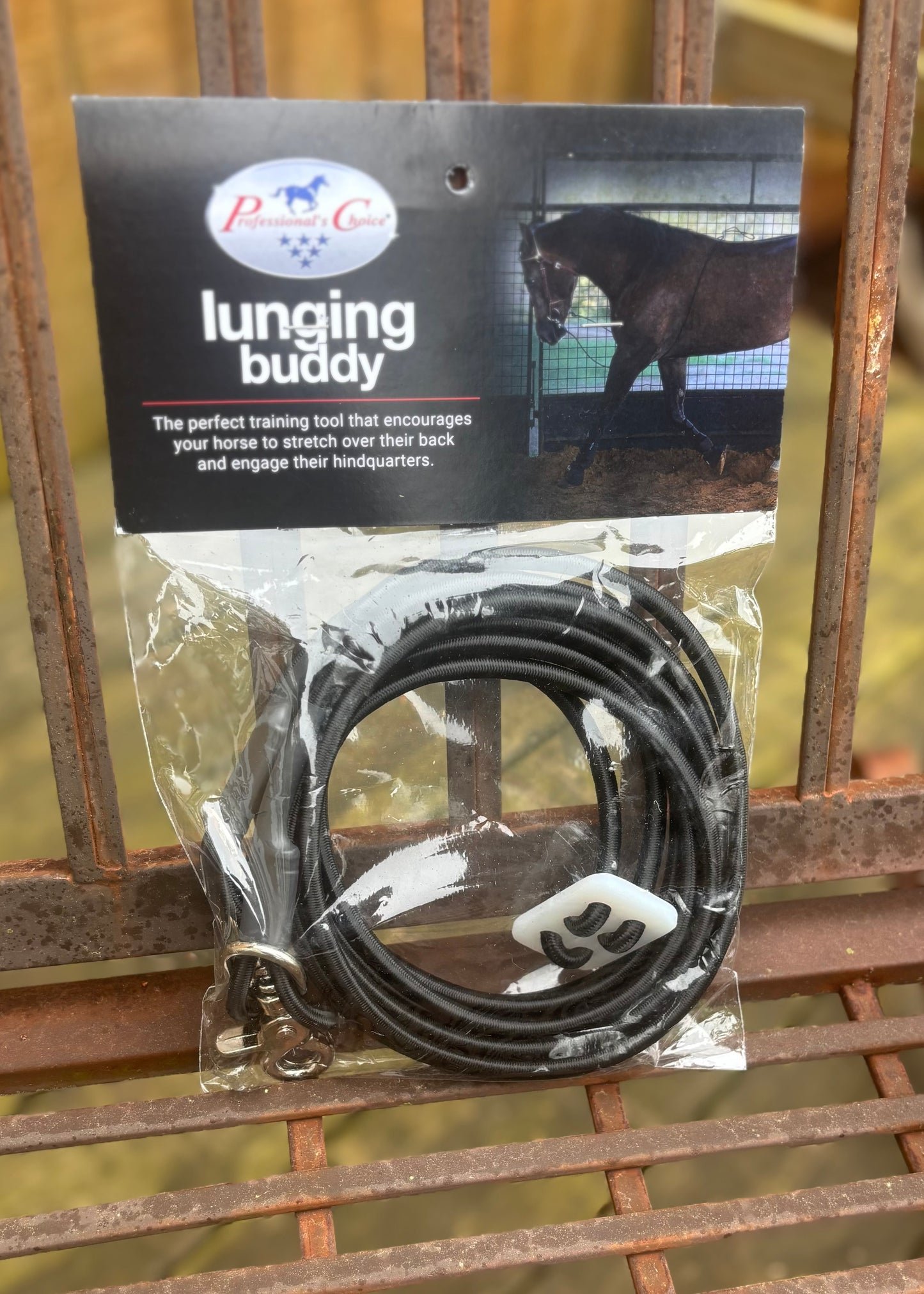 Lunging Buddy