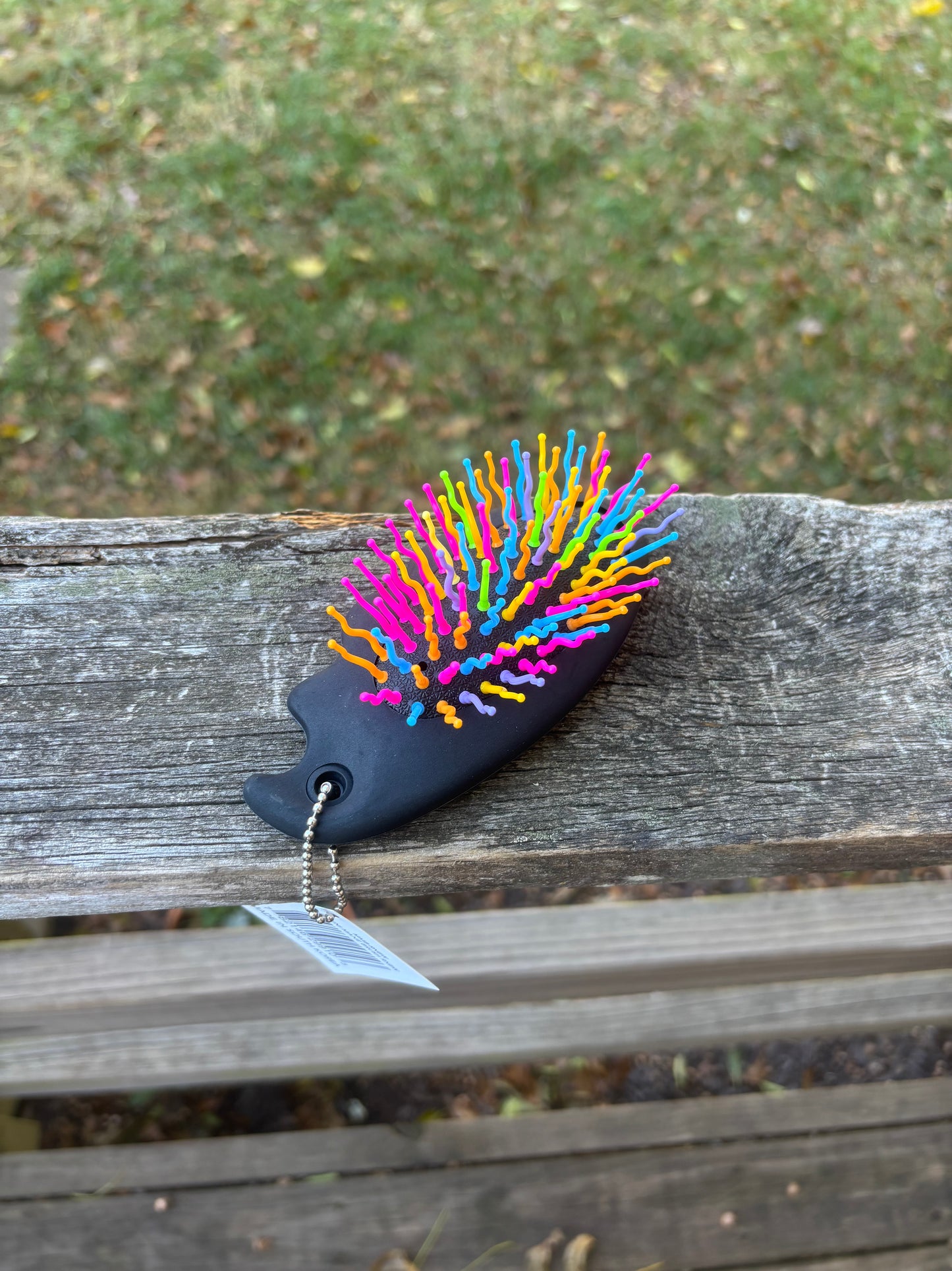 Mini Mane Brush by Professional's Choice