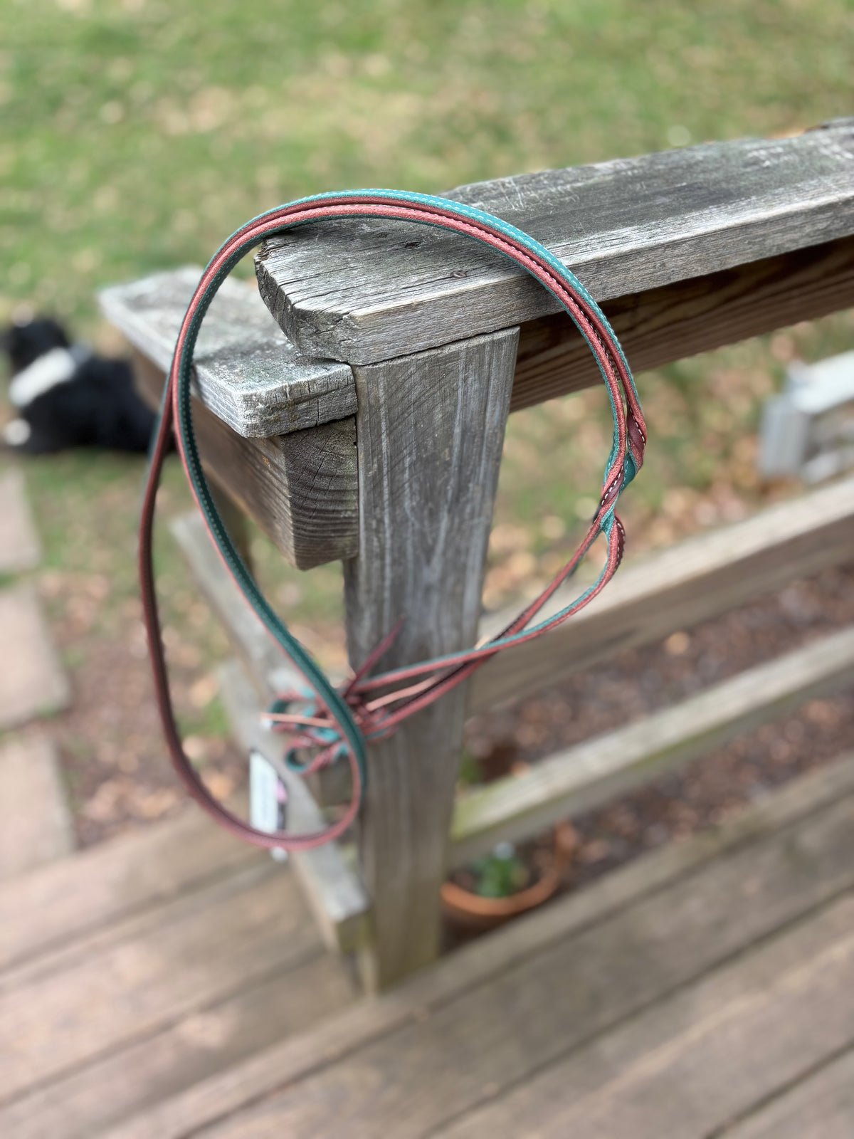 Roping Rein w/ Emerald/ Burgandy Twist by Professionals Choice