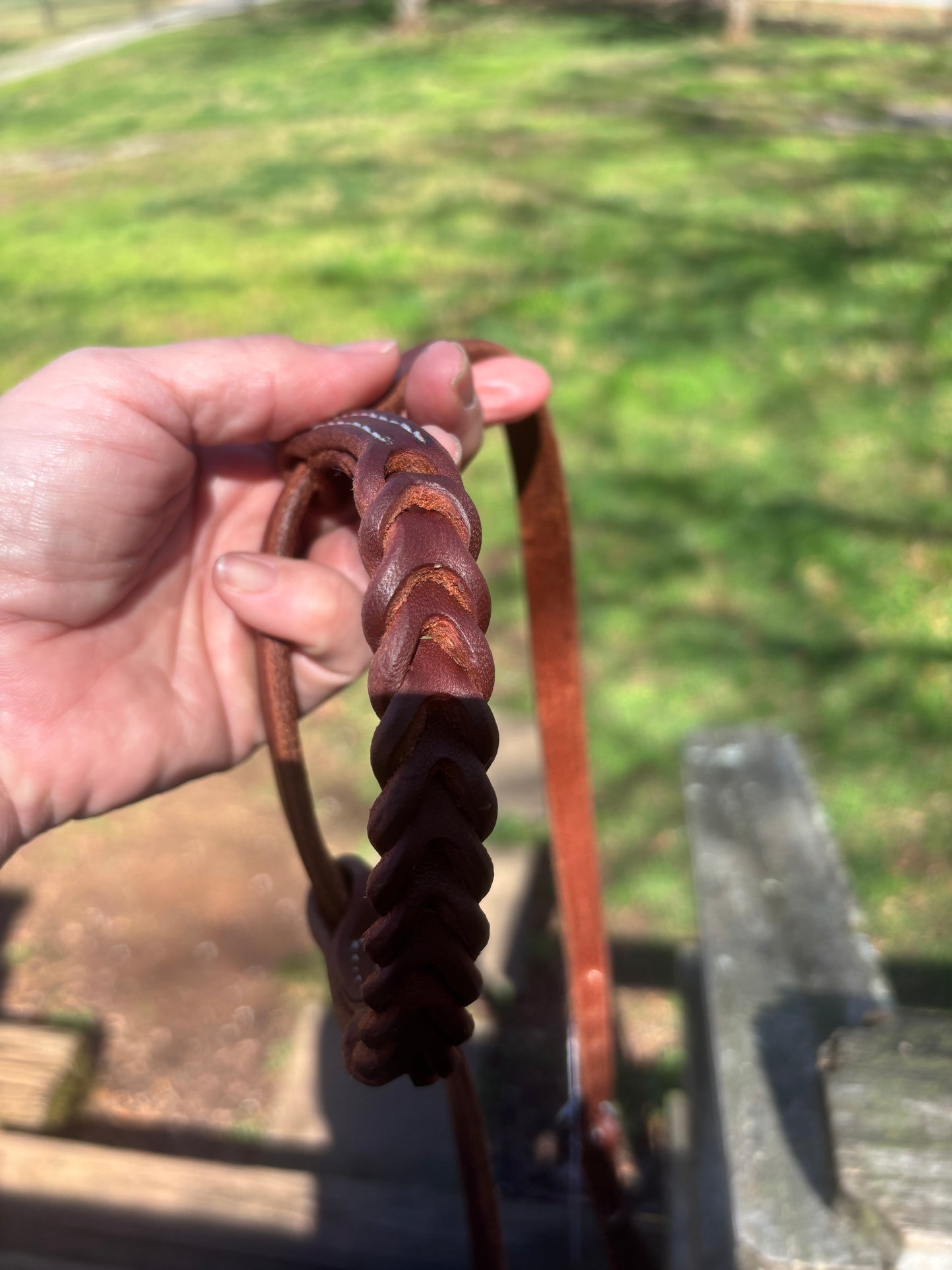 Bleeding Heart One Ear Headstall by Professionals Choice