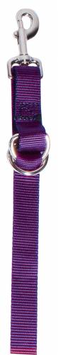Professional's Choice Nylon Tie Down Strap