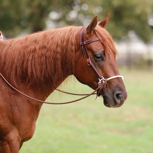 Professional's Choice Ranch Side Pull Lariat Nose
