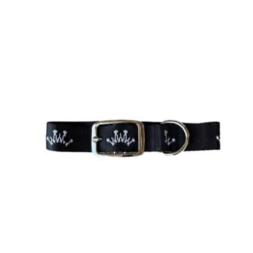 Best Ever Dog Collar