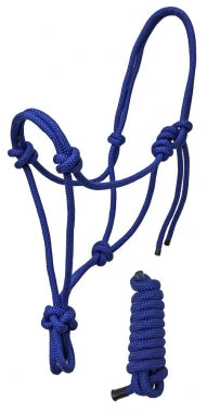 Braided Rope Halter with Matching 6 Foot Lead
