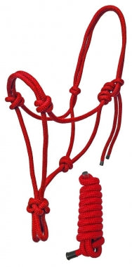 Braided Rope Halter with Matching 6 Foot Lead