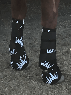Best Ever Ride for the Crown Splint Boots