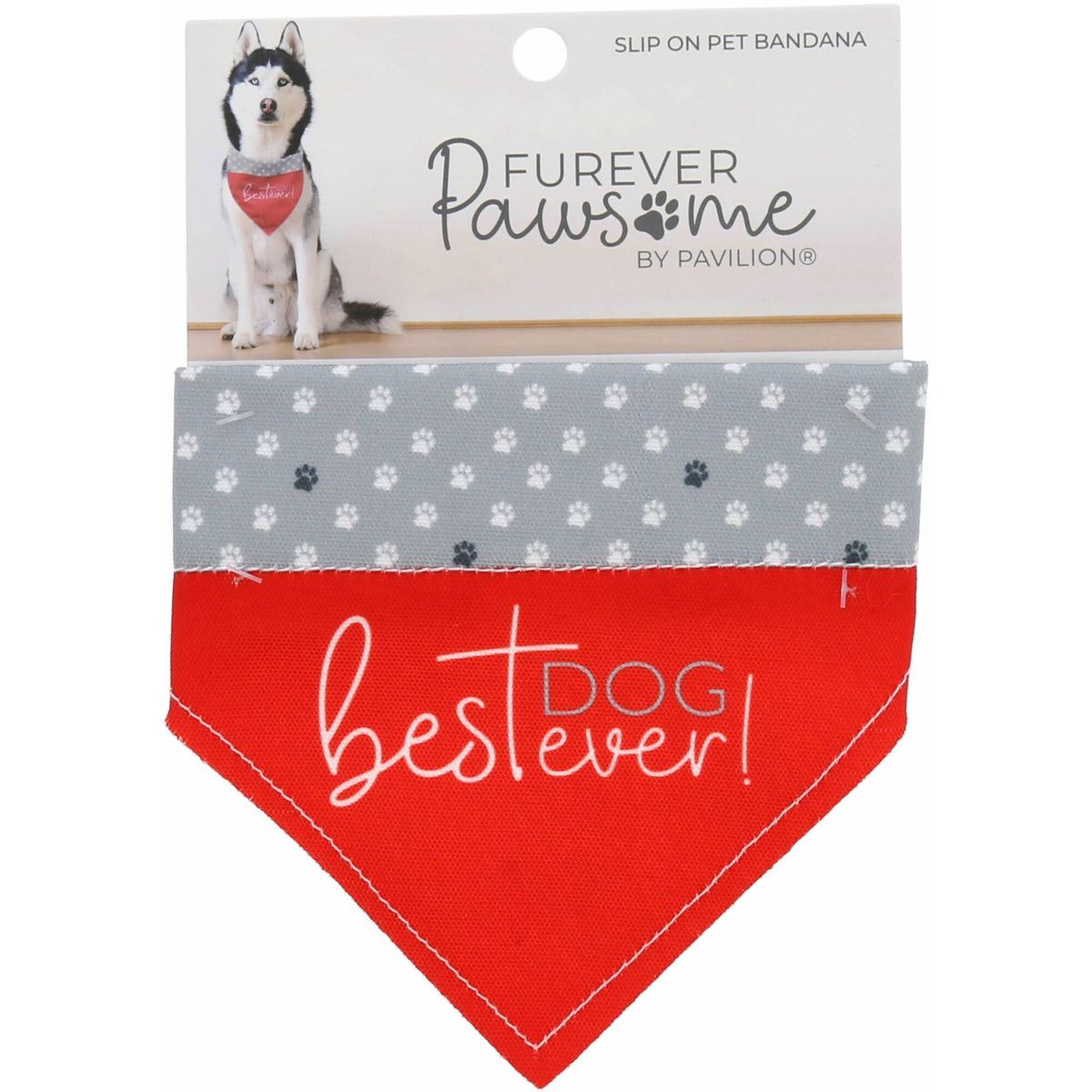 Best Dog Ever - 7" x 5" Canvas Slip on Pet Bandana