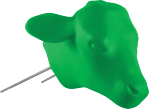 Calf Head