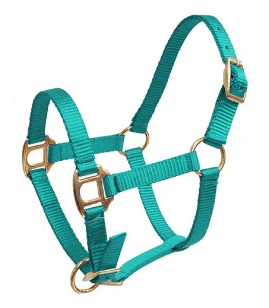 Nylon Foal Halter