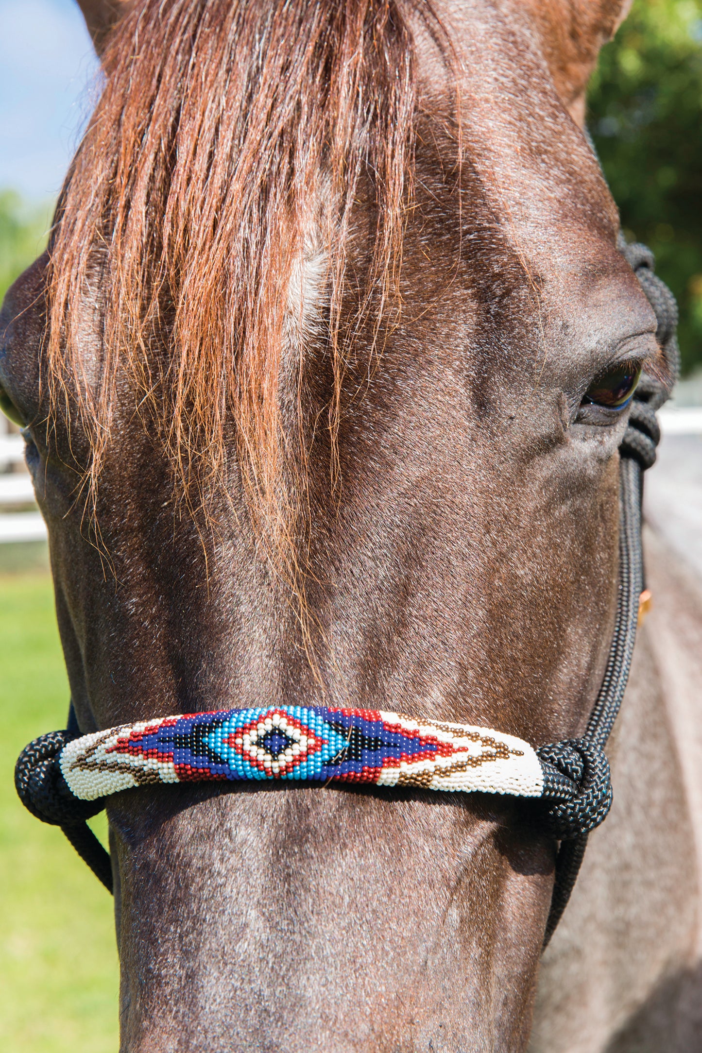Professional's Choice Beaded Rope Halter w/ Lead