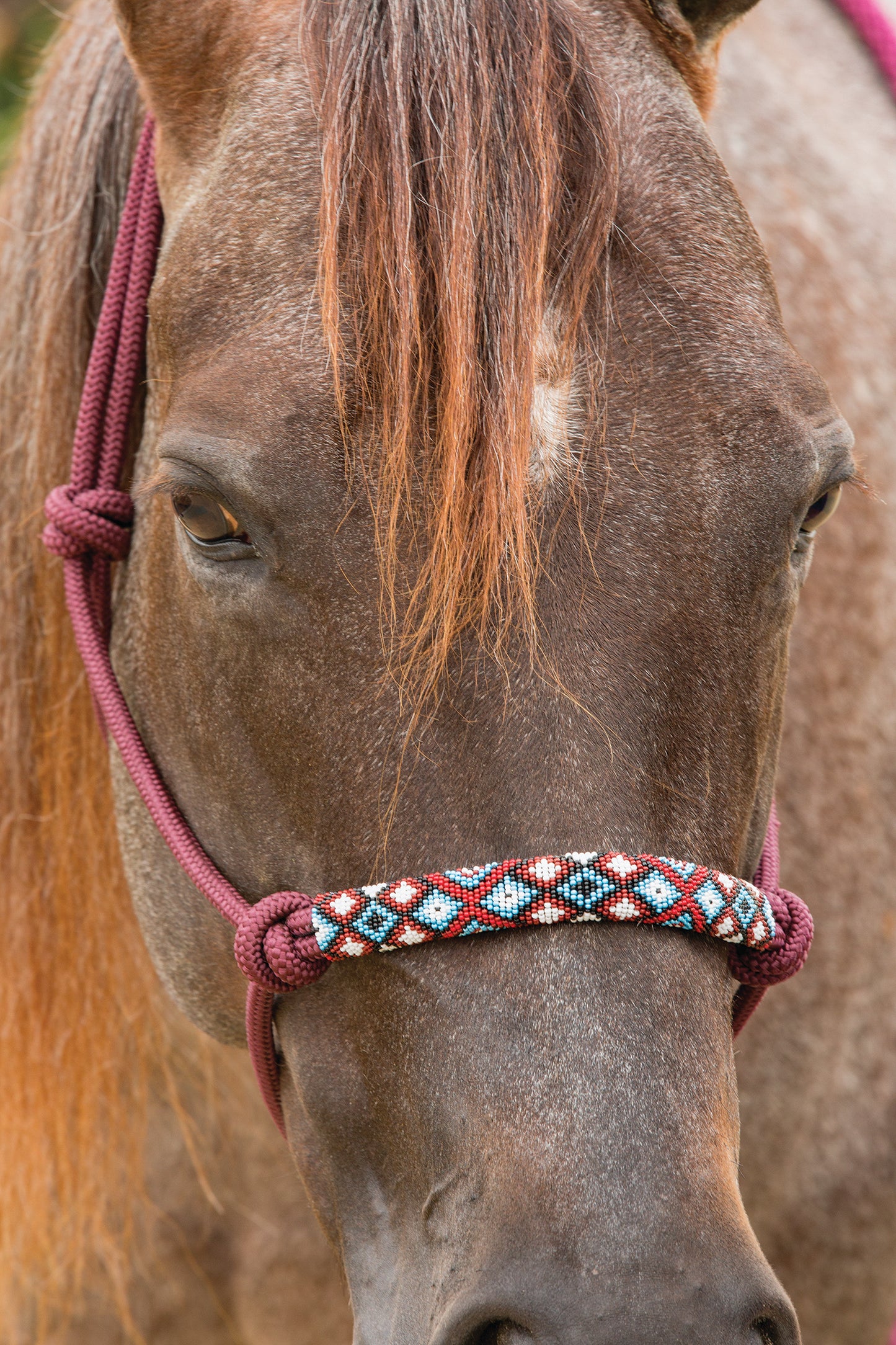 Professional's Choice Beaded Rope Halter w/ Lead