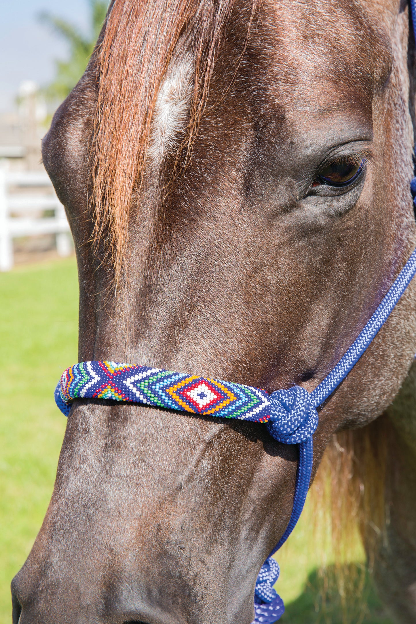 Professional's Choice Beaded Rope Halter w/ Lead