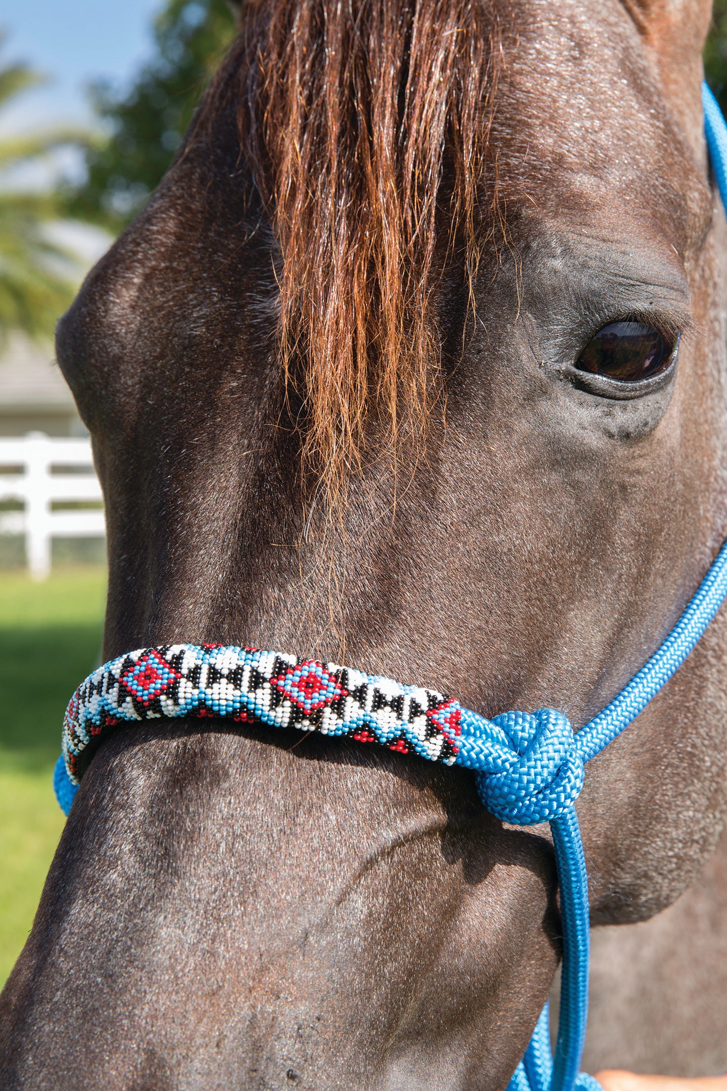 Professional's Choice Beaded Rope Halter w/ Lead