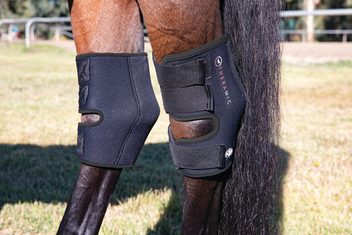 Professional's Choice Theramic Therapy Hock Boots