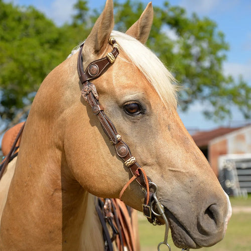 Circle Y Roughstock Single Ear Headstall