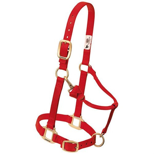 Weaver Leather Suckling Weanling Pony Adjustable Nylon Halter