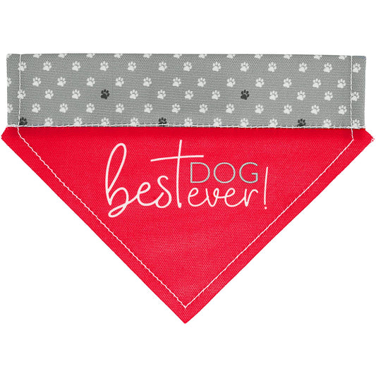 Best Dog Ever - 7" x 5" Canvas Slip on Pet Bandana