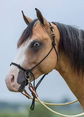 Bitless Halter Bridle