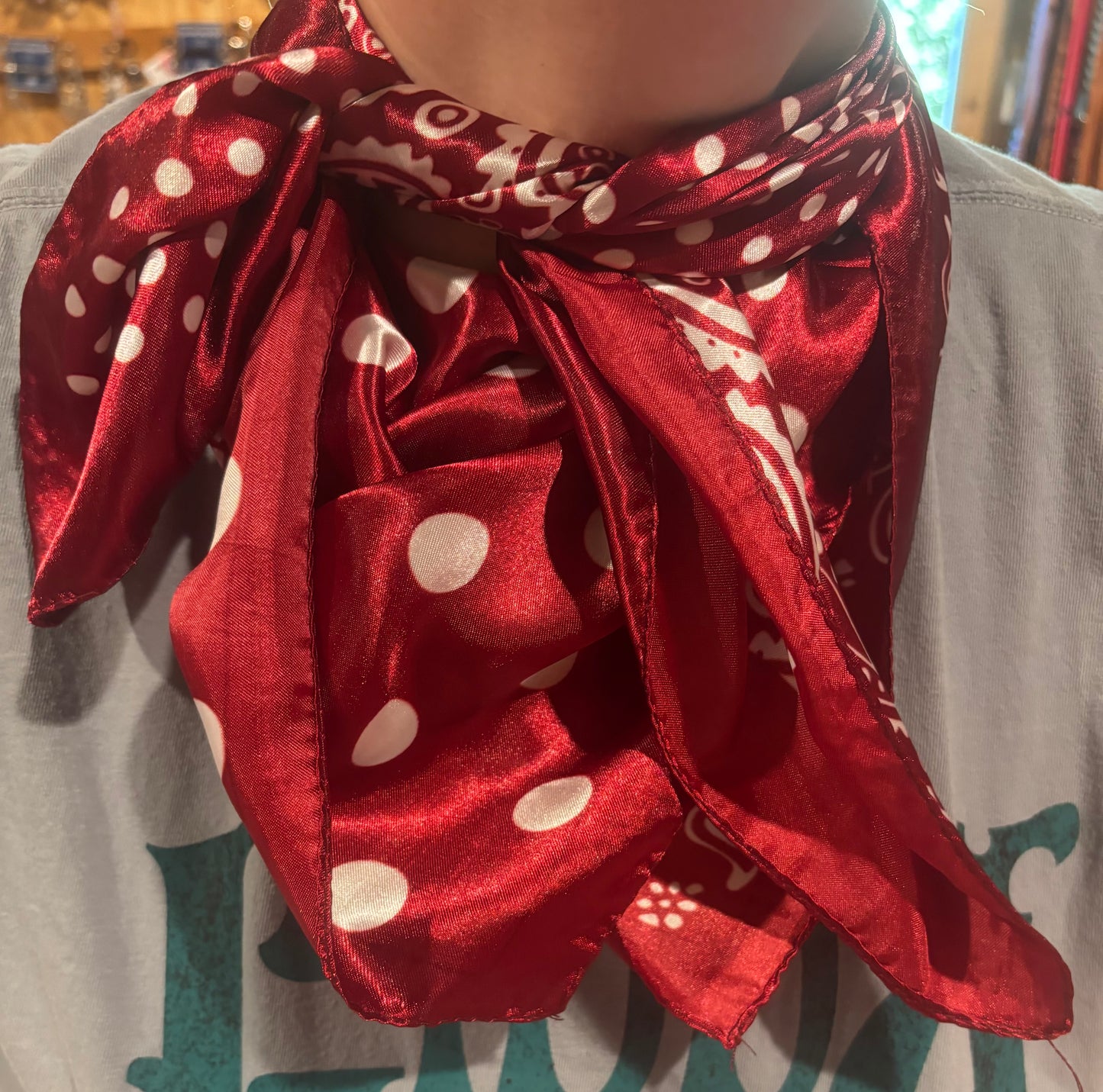 Paisley Dot Wild Rag - Red