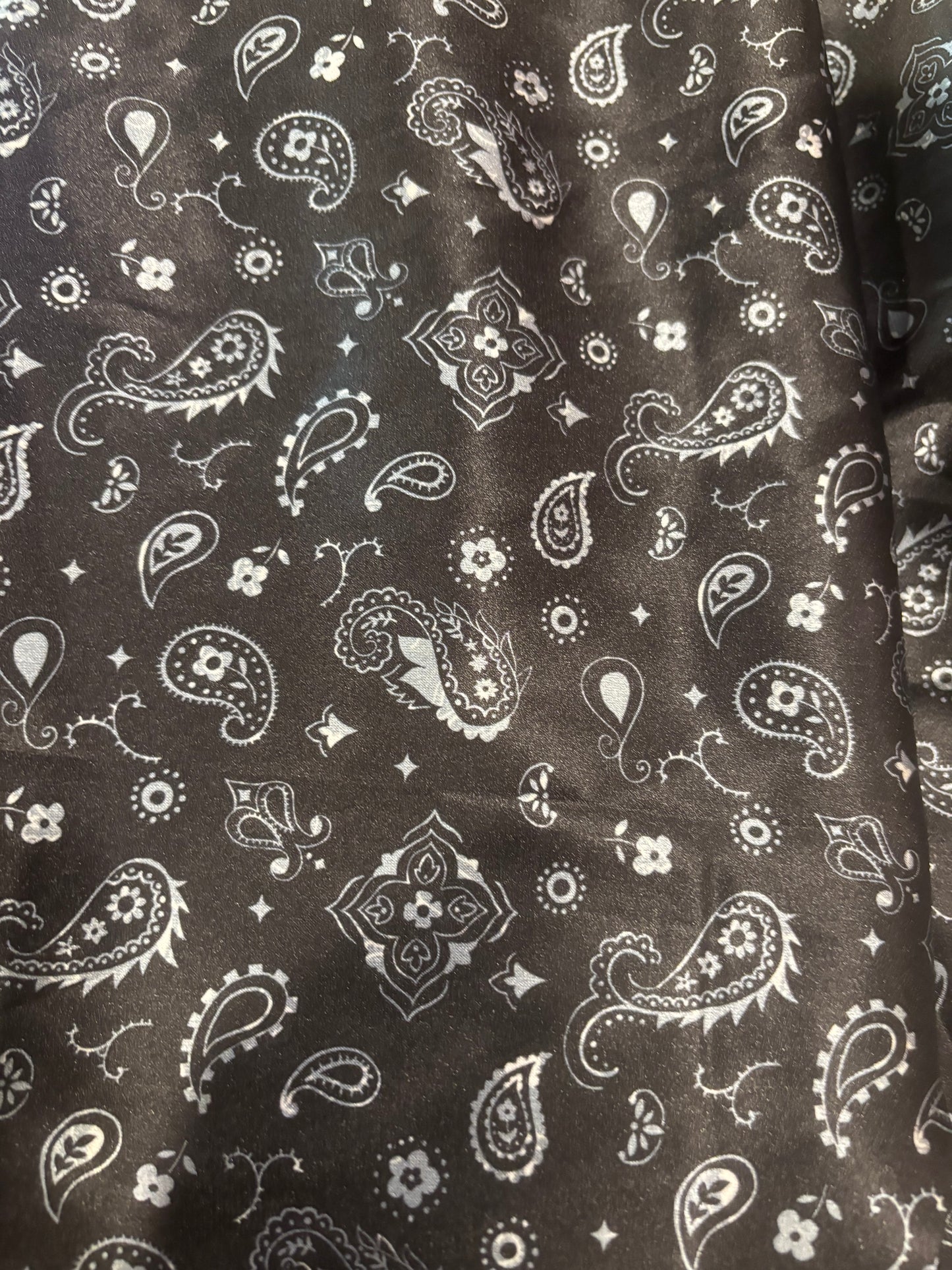 Wild Rag- Black Paisley