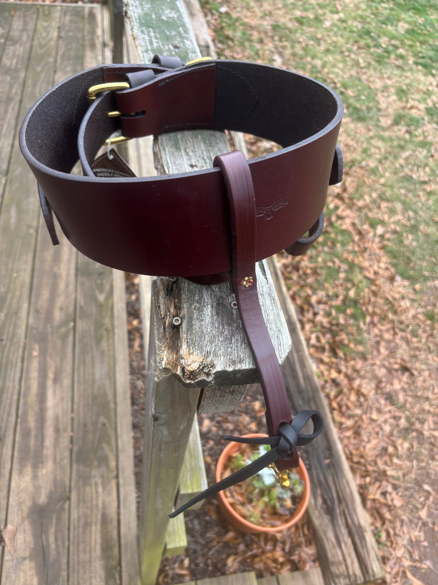 Circle Y Flank Cinch