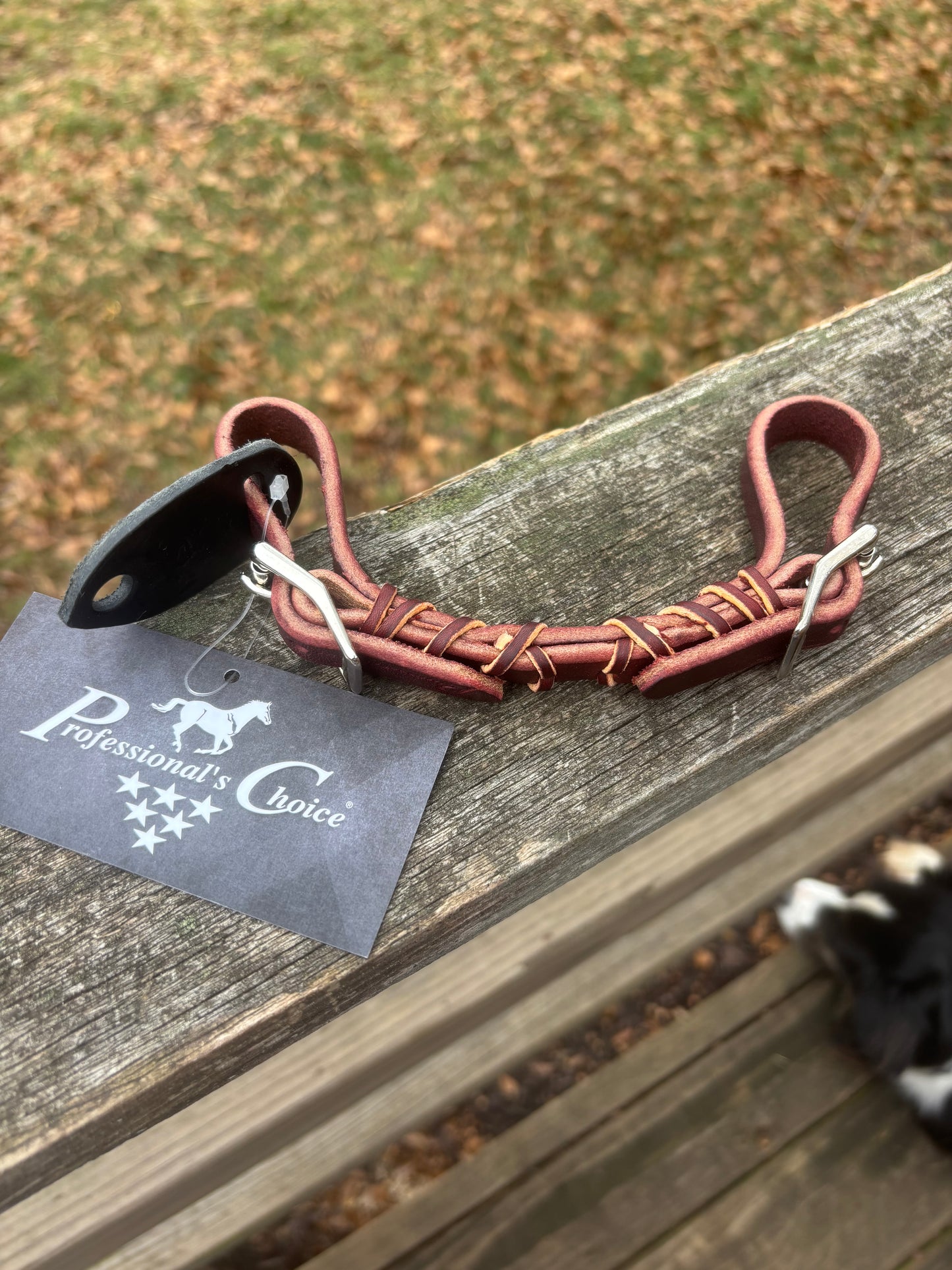 Leather Laced Curb Strap by Professional's Choice