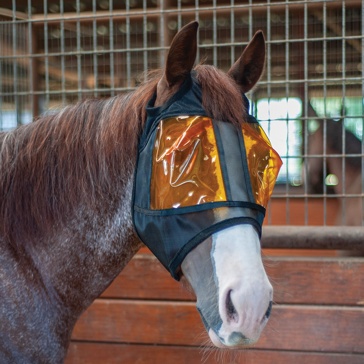 REM - Restoration Equine Mask