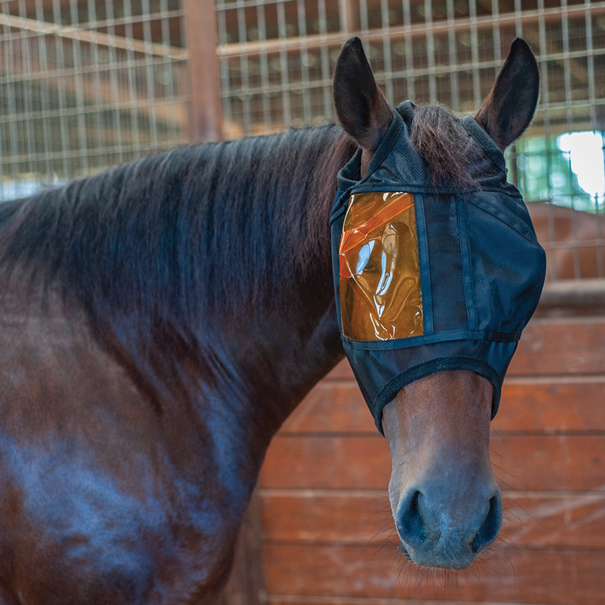 REM - Restoration Equine Mask