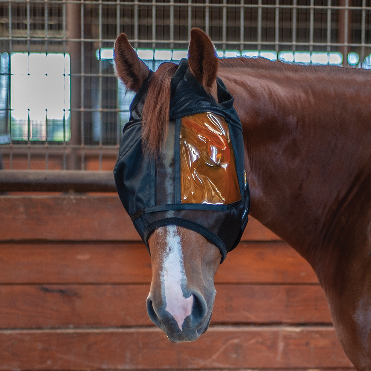 REM - Restoration Equine Mask