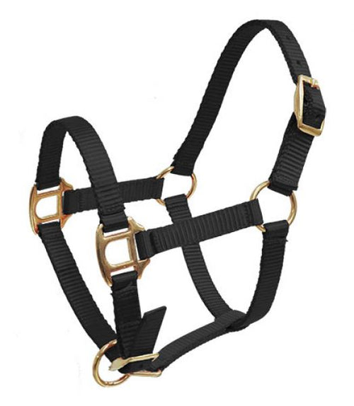 Nylon Foal Halter