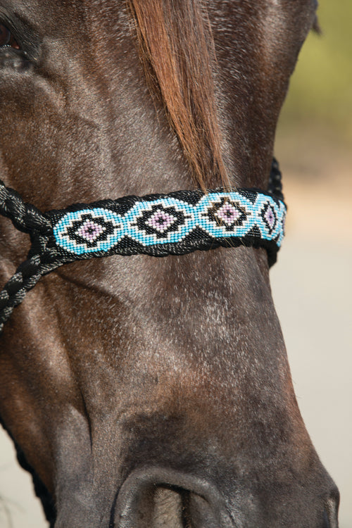 Professional's Choice Cowboy Braided Halter w/ 10 ft Lead
