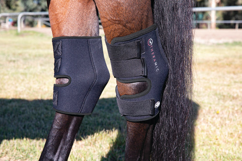 Professional's Choice Theramic Therapy Hock Boots
