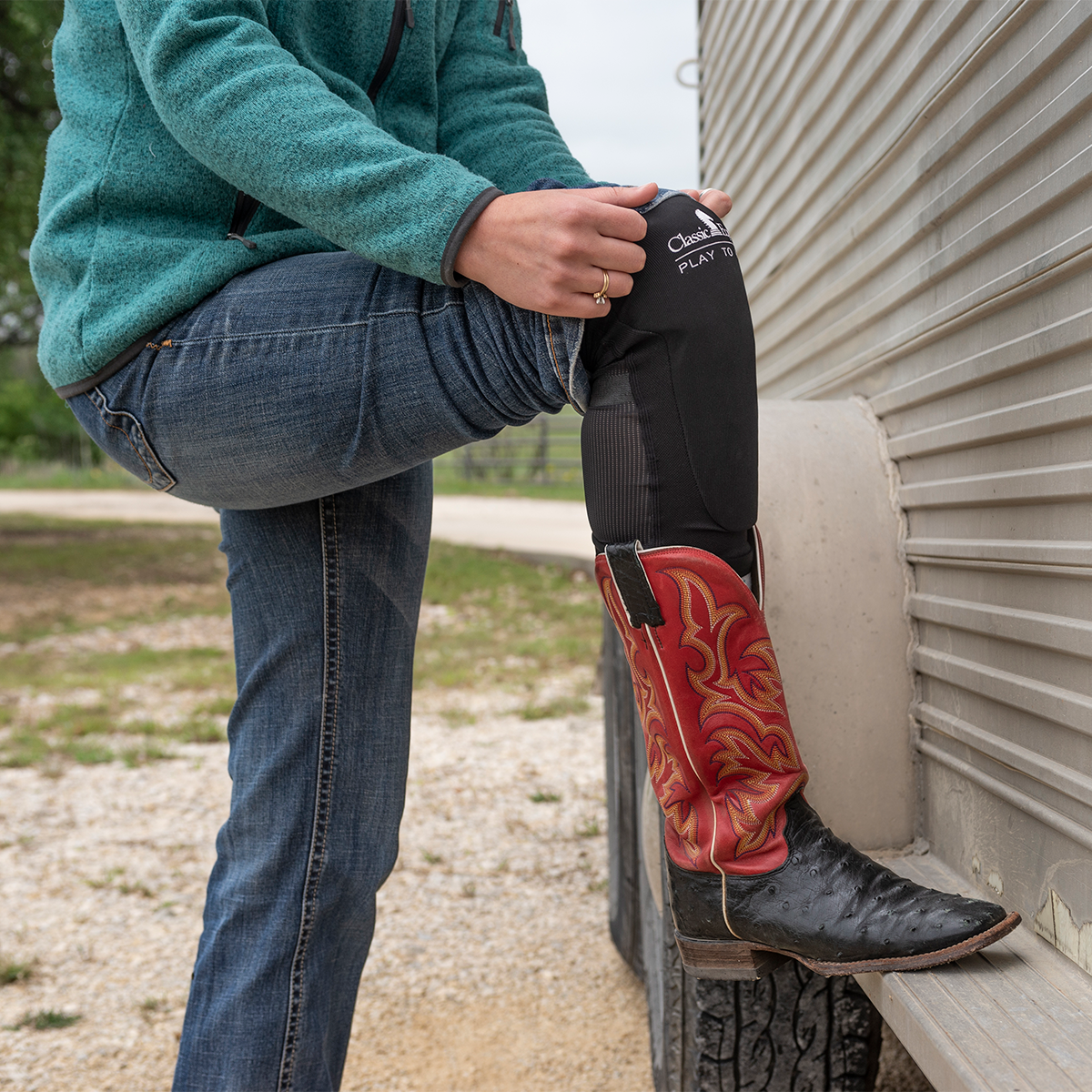 Classic Equine Shin Guards