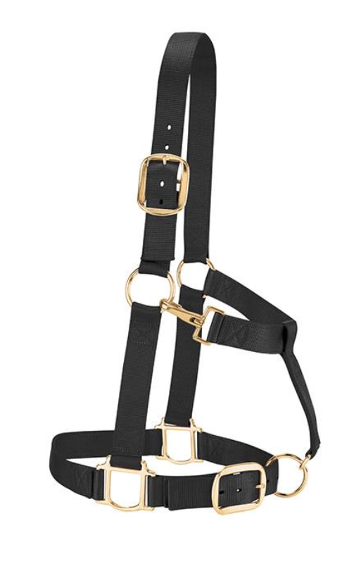 Weaver Original Adjustable Chin and Throat Snap Halter 1.5" Draft Horse