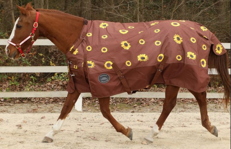 Showman 1200D Horse Blanket