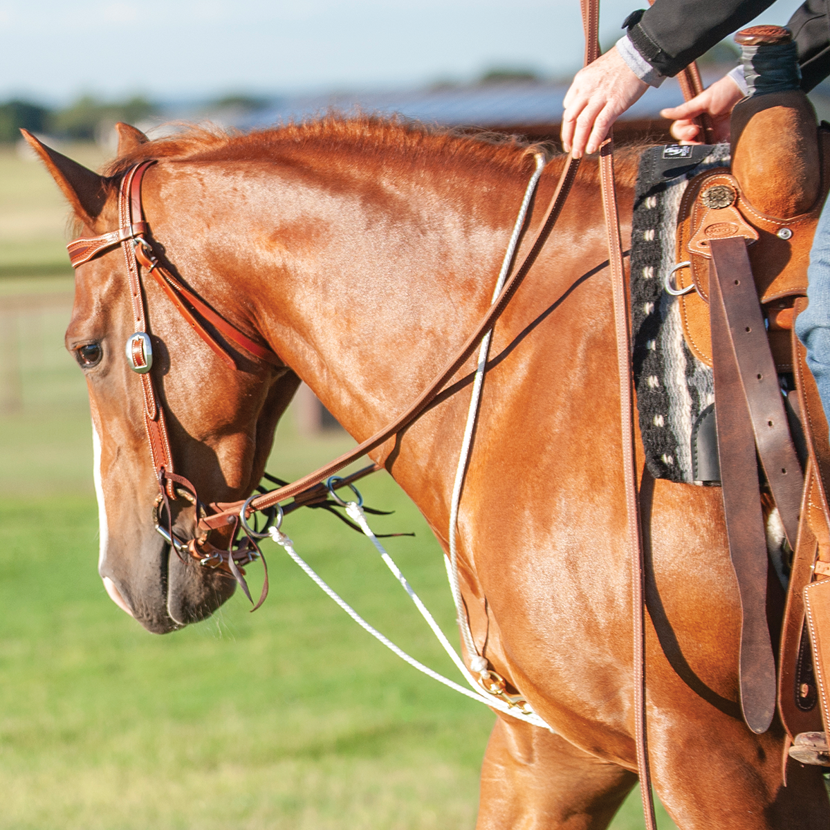 Martin Saddlery String Martingale