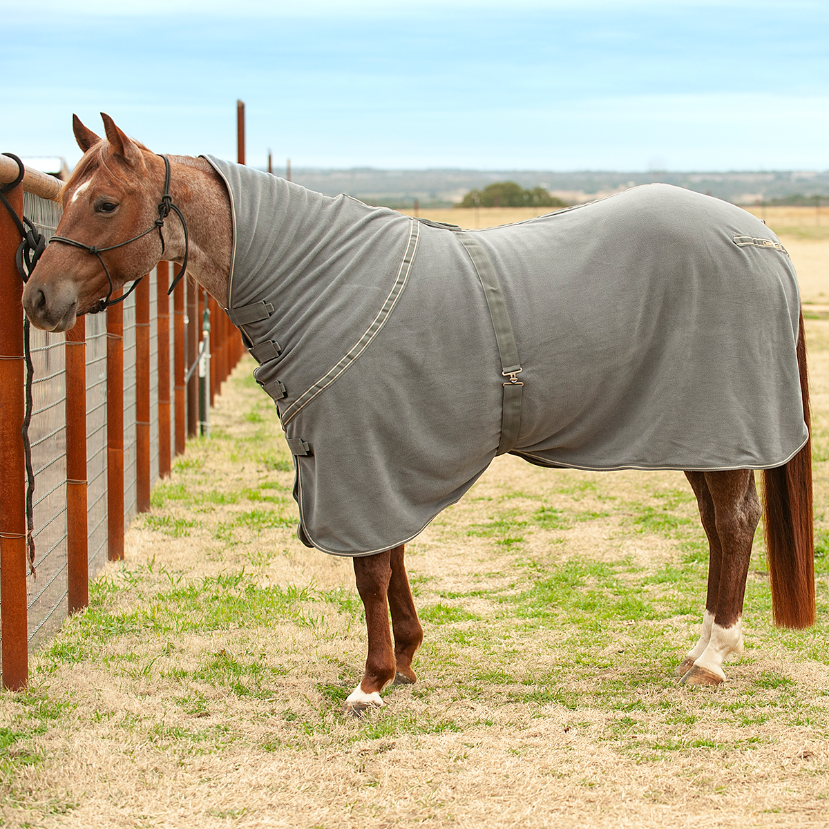Classic Equine Polar Fleece Cooler Economy